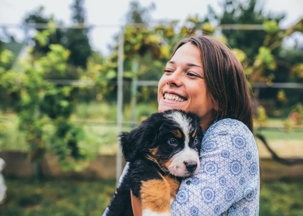 A happy woman holds a Bernese Mountain Dog puppy