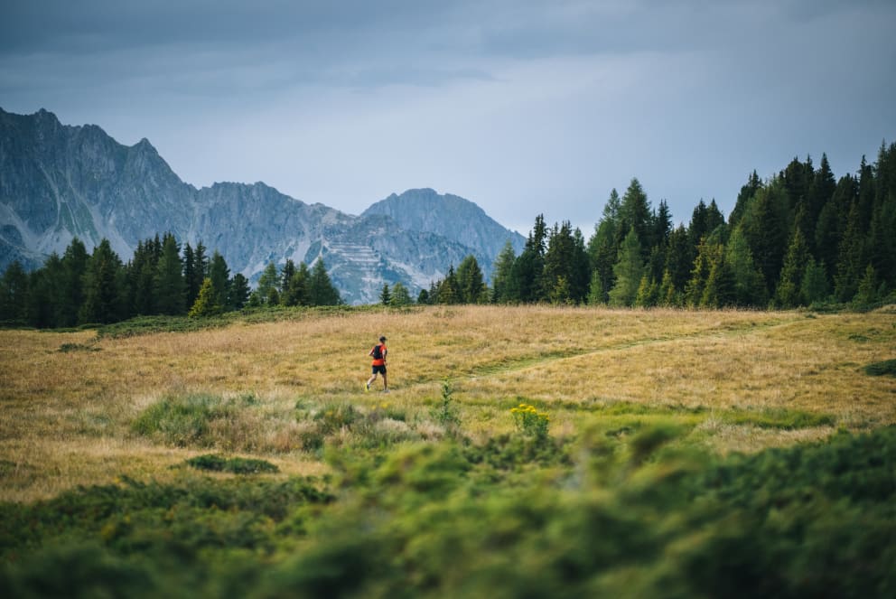 man trail running in mountain valley