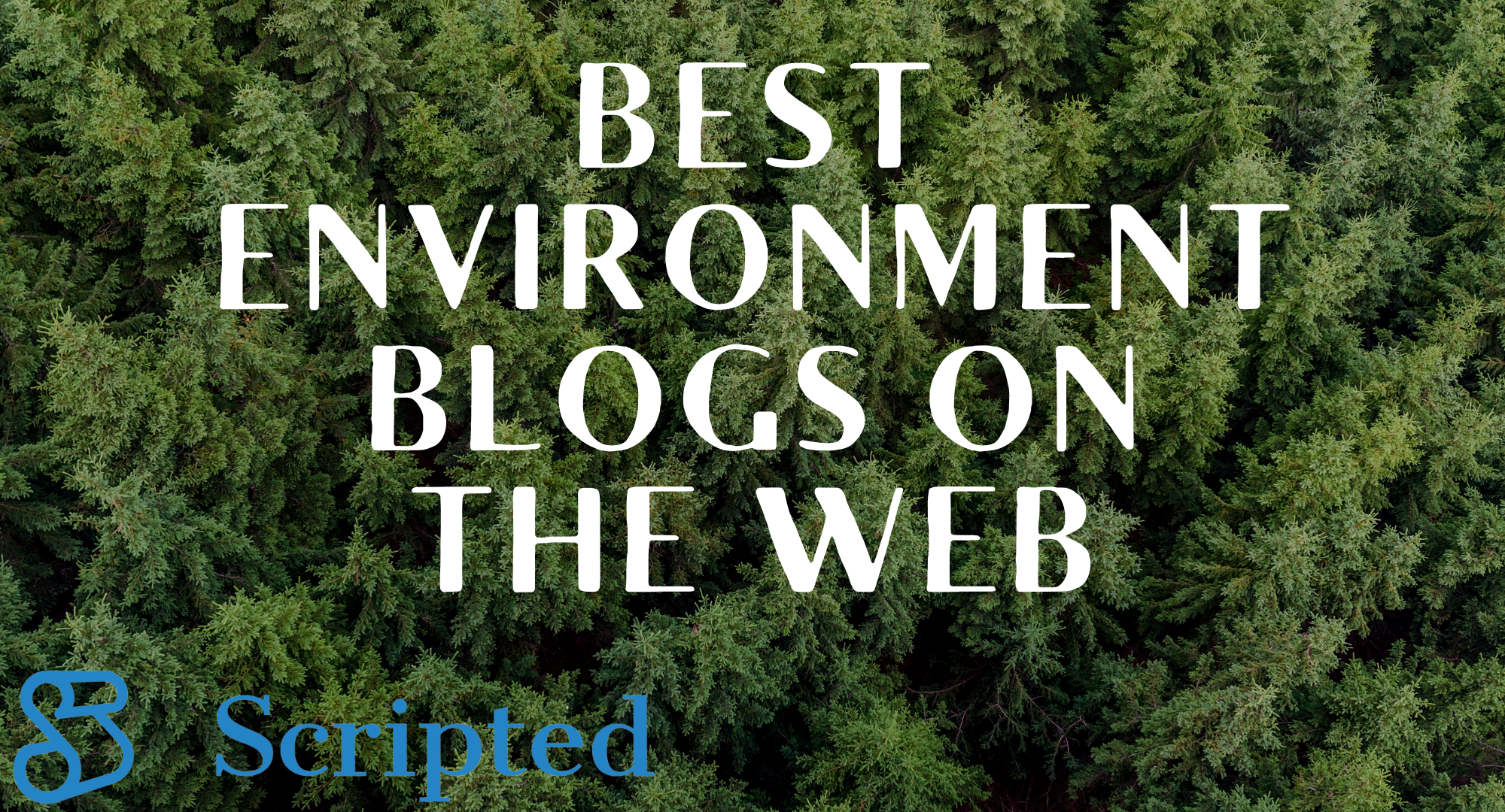 The 16 Best Environmental Blogs On The Web