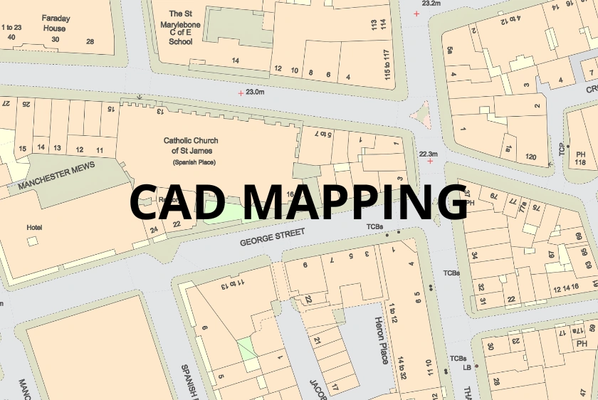 7 Features to Check in Professional CAD Maps