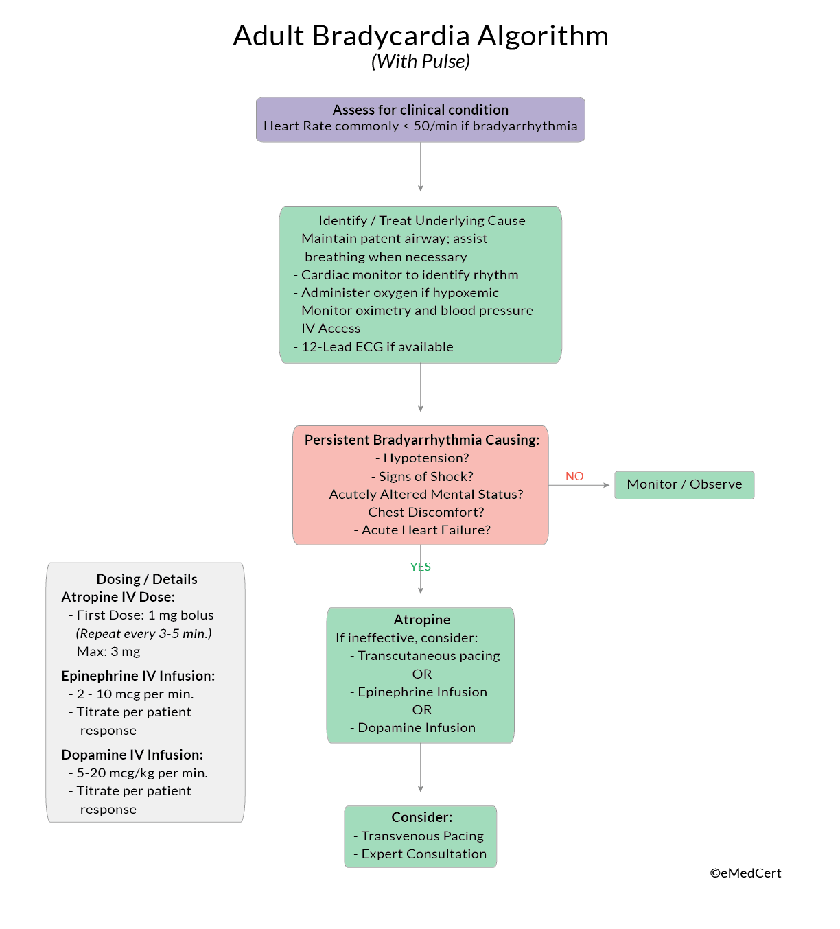 PALS Bradycardia Algorithm ACLS Medical Training