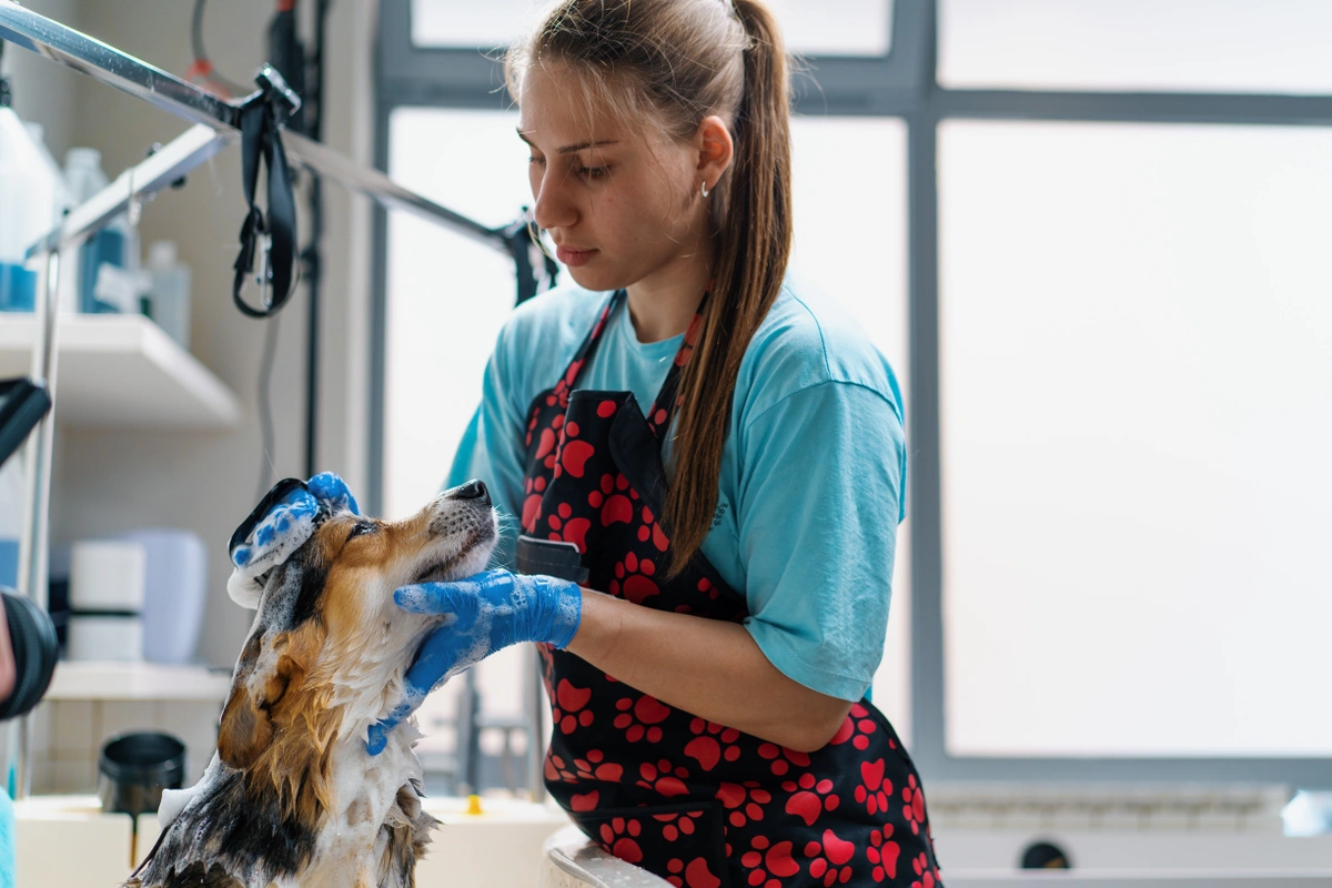 Woman giving a dog a bath