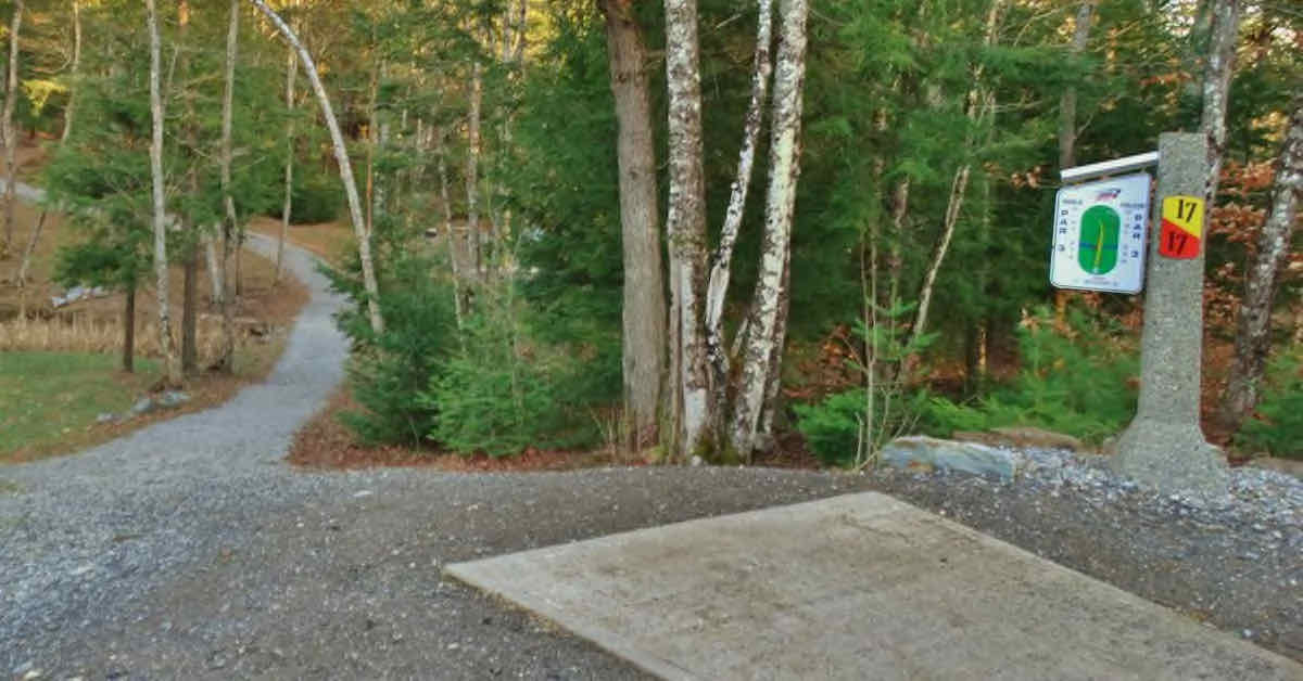 A cement disc golf tee pad leads to a fairway curving through the woods