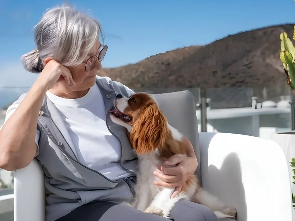 Senior woman relaxing on a sunny outdoor terrace with a Cavalier King Charles Spaniel on her lap