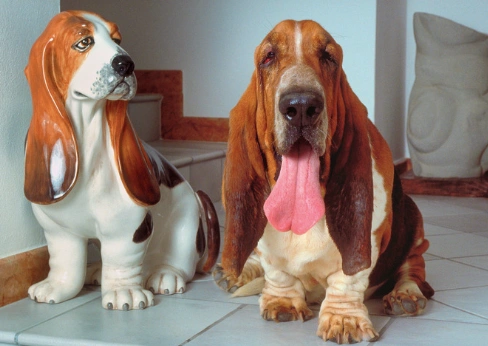 Screen Shot 2023-10-24 at 7.43.30 PM....