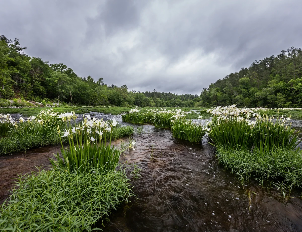 Alabama Natural Wonders