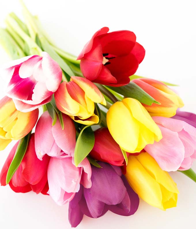 Mothers day cheap flowers tulips