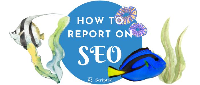 How to Report on SEO