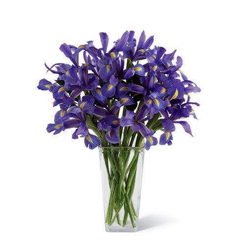 iris flower bouquet and all about the goddess iris in greek mythology