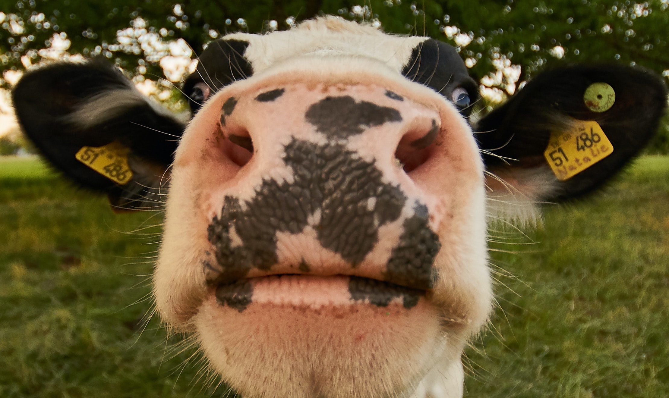 3 Top Stocks That Are Cash Cows MyWallSt