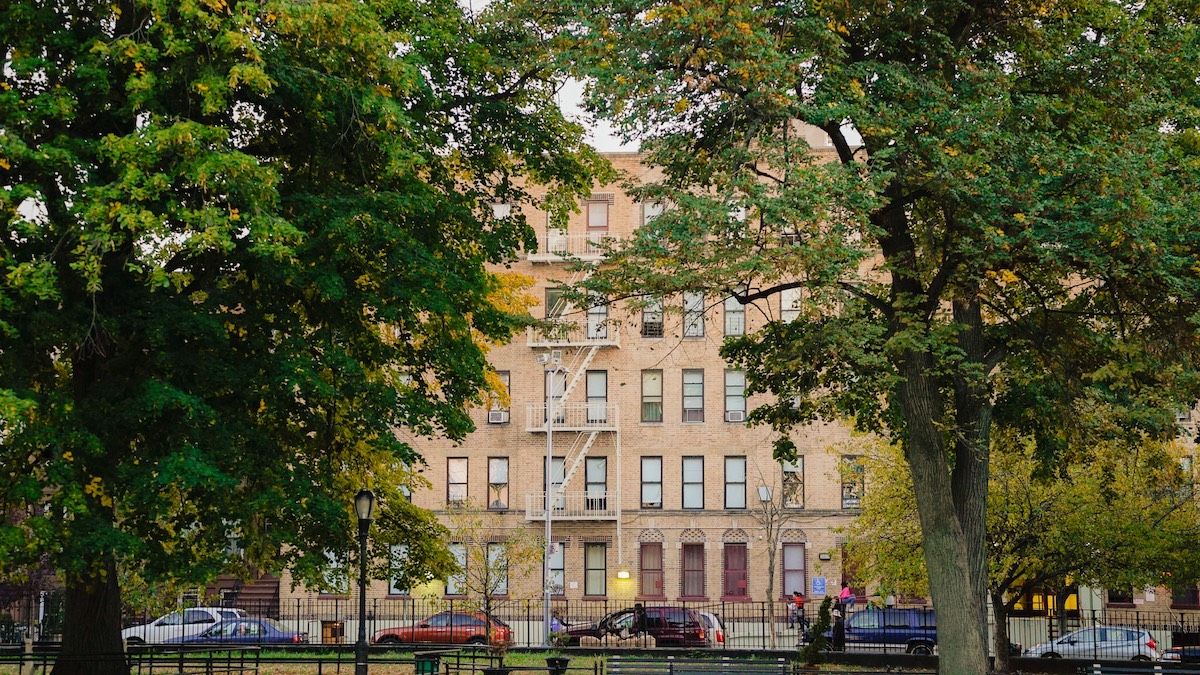 Living in the BedfordStuyvesant Neighborhood in Brooklyn Doorsteps Rent