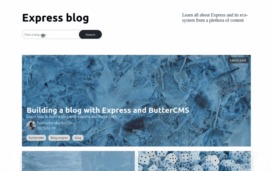 Express blog tutorial search function demonstration.