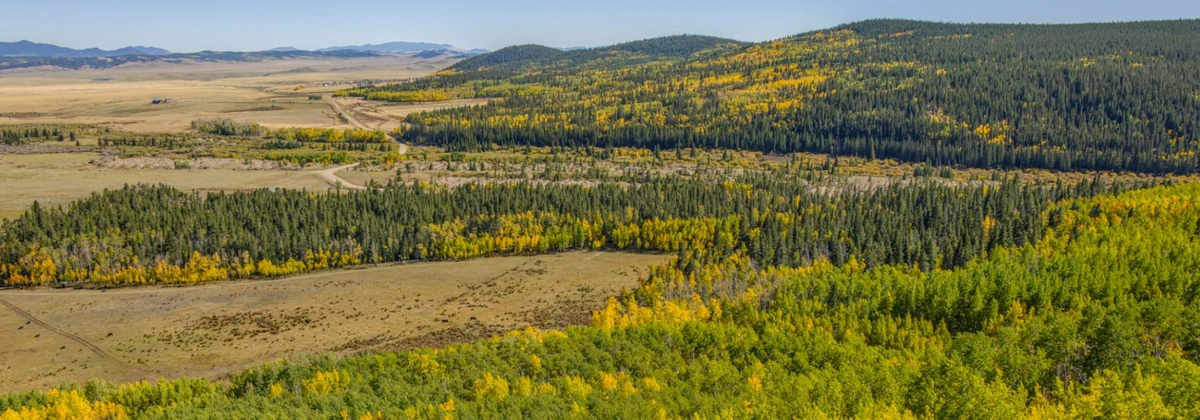 Boreas Pass - CO