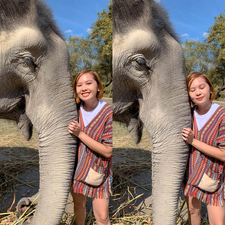 me with elephants