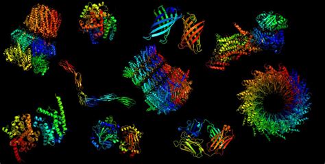 proteomics.jpeg