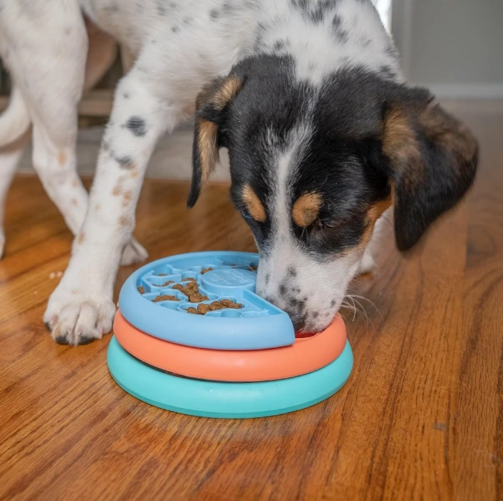 14 Ways to Slow Down a Puppy From Eating Too Quickly