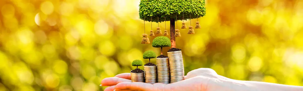 hand holding small tree and coins