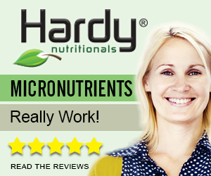 Daily Essential Nutrients micronutrients reviews