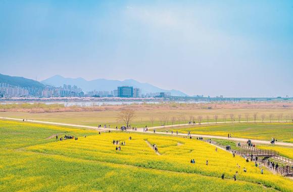 大渚生態公園