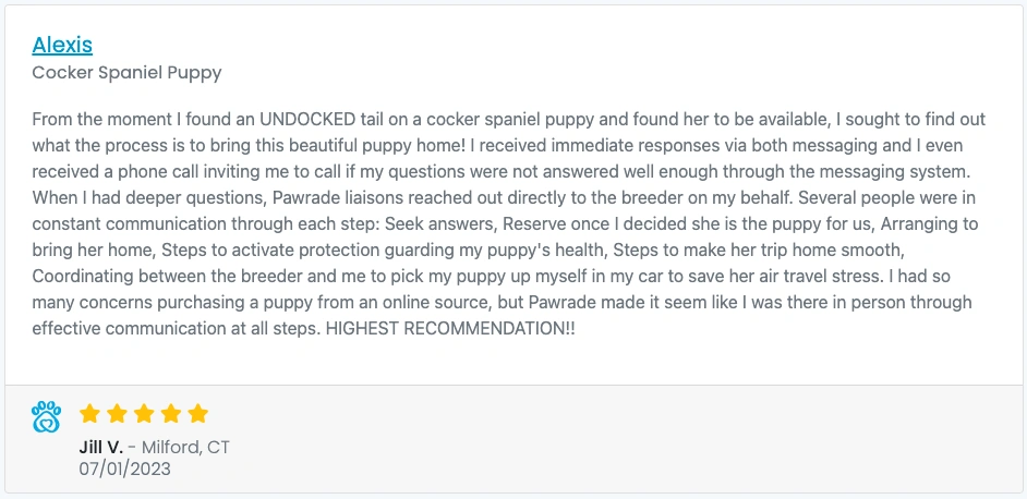 Screen Shot 2023-07-21 at 8.37.42 PM....