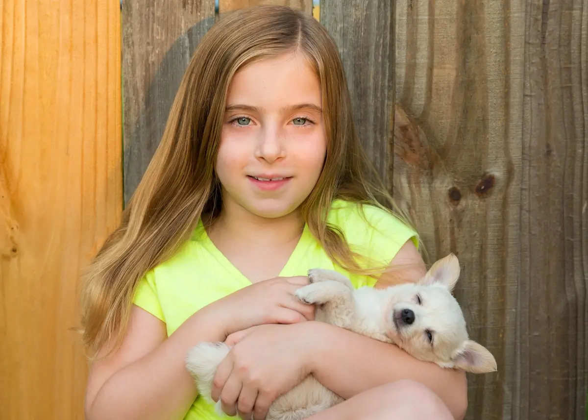 What to Expect in the First 48 Hours With a Puppy