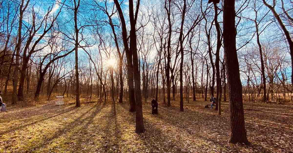 Group of players in bare winter woods near a disc golf basket