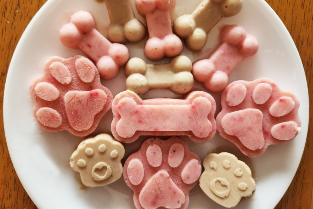 Cute dog outlet treats