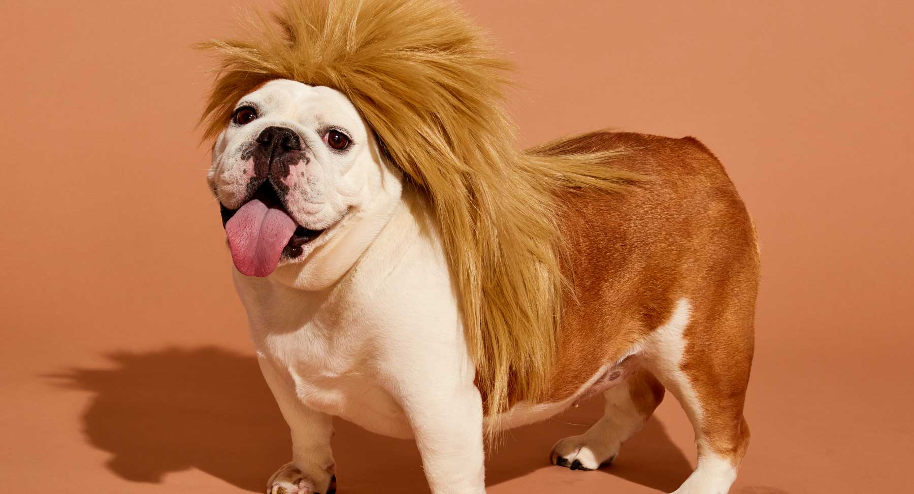 Laser Hair Growth Cap Do They Work? Hims