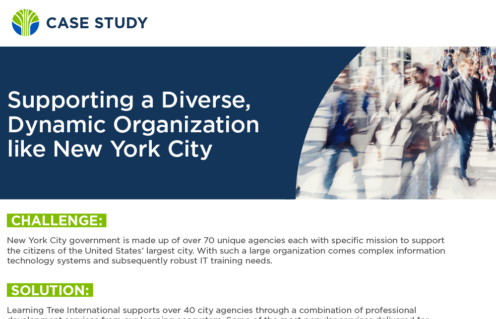 Supporting a Diverse, Dynamic Organization like New York City