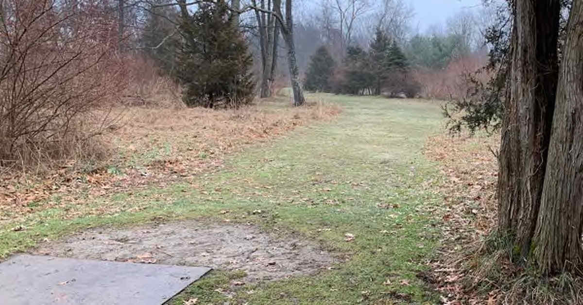View of a flat area with a mown disc golf fairway but also scattered areas of trees and brush on a gray day
