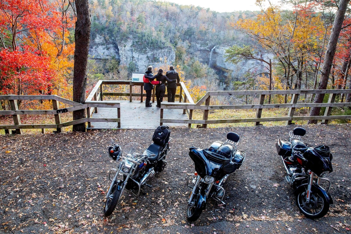 A Blazing Trail