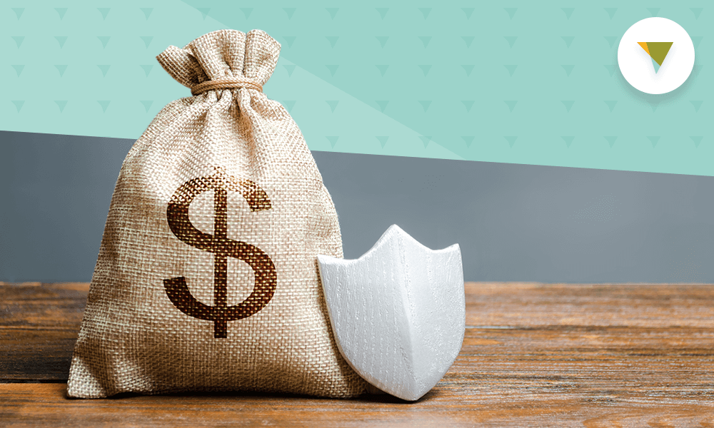 Money Bag with Shield