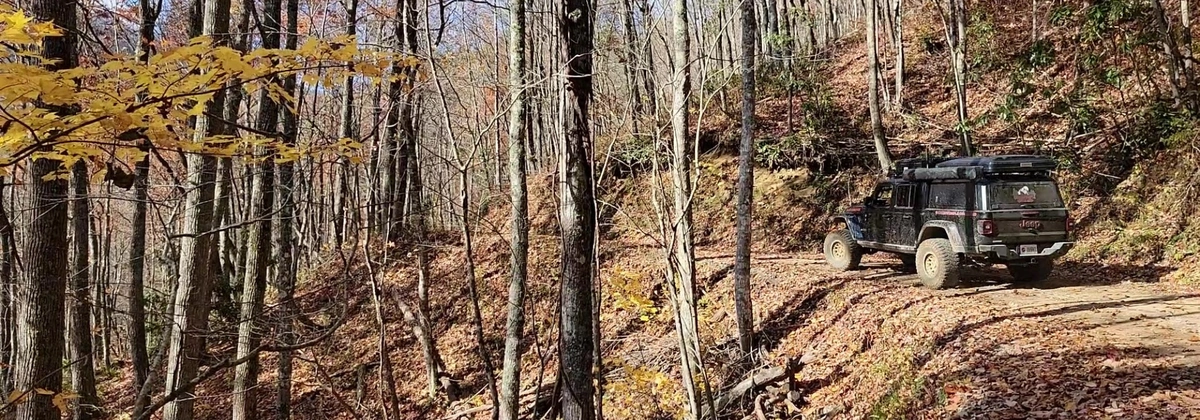 Tellico Road.webp