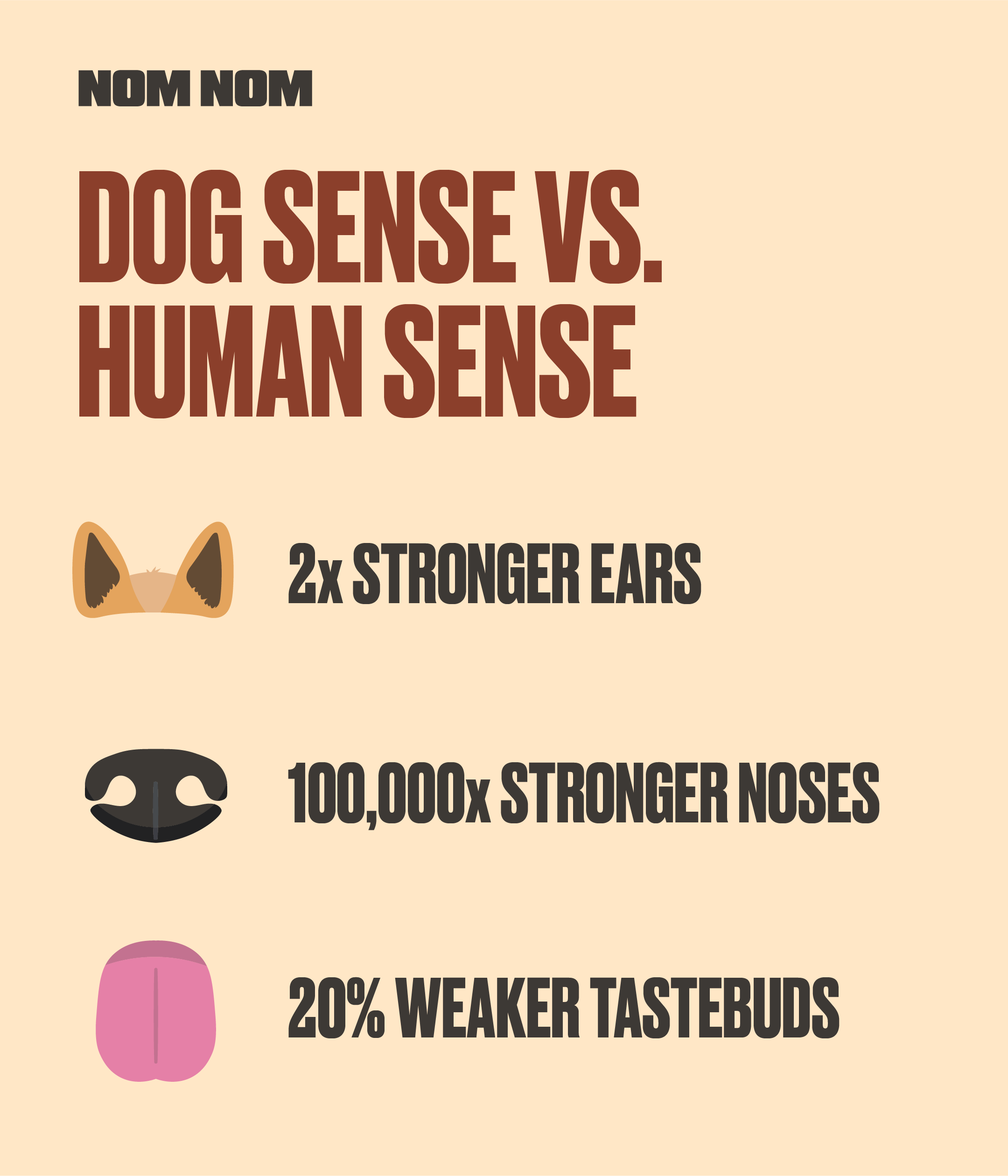 Dog vs Human Senses