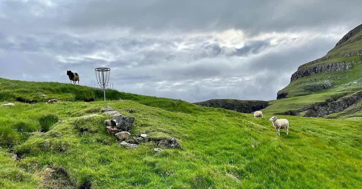 Sheep near a disc golf basket on lush green grass with dramatic rocksy rise int he background