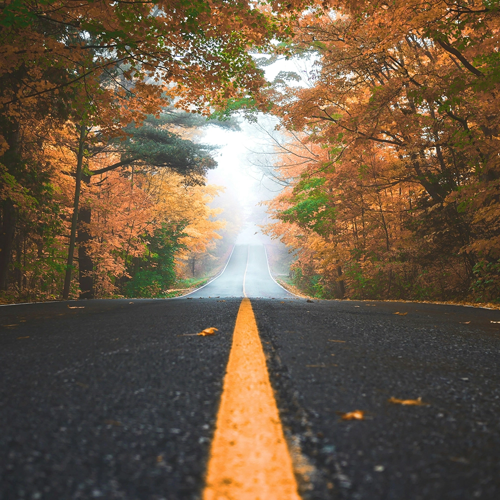 Fall road.webp