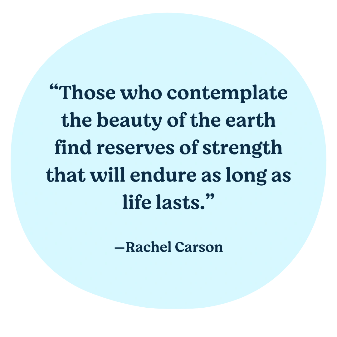 Those who contemplate the beauty of the earth find reserves of strength that will endure as long as life lasts. ― Rachel Carson