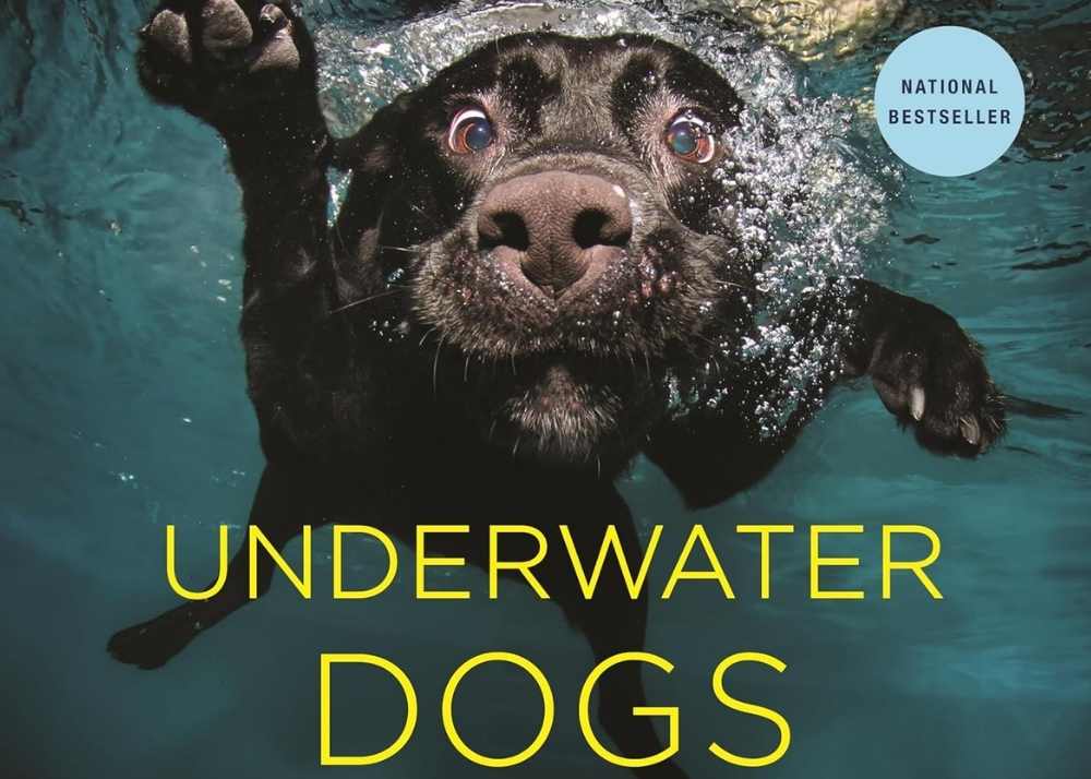 underwaterdogs.jpg