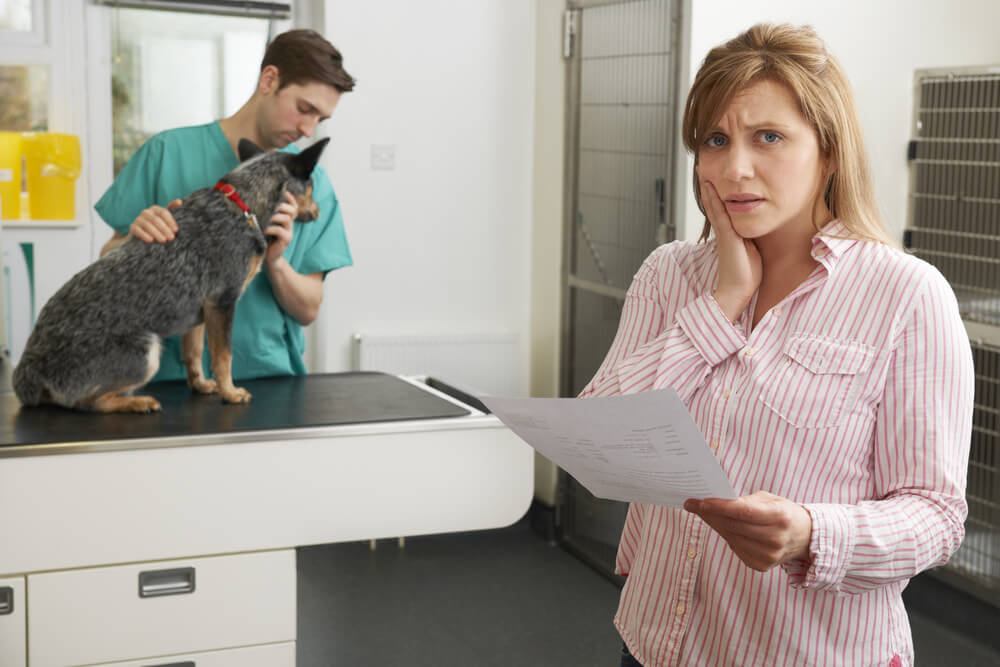 woman needs a pet loans for bad credit