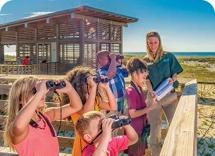 A travel guide explaining students