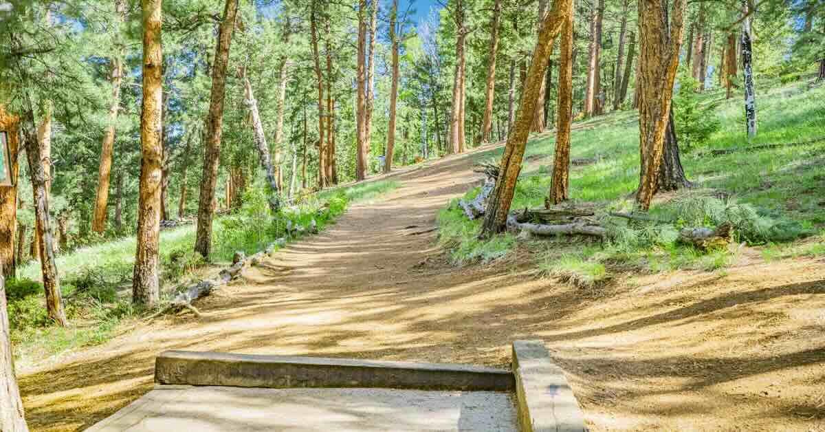 A concrete tee pad in a wooded area