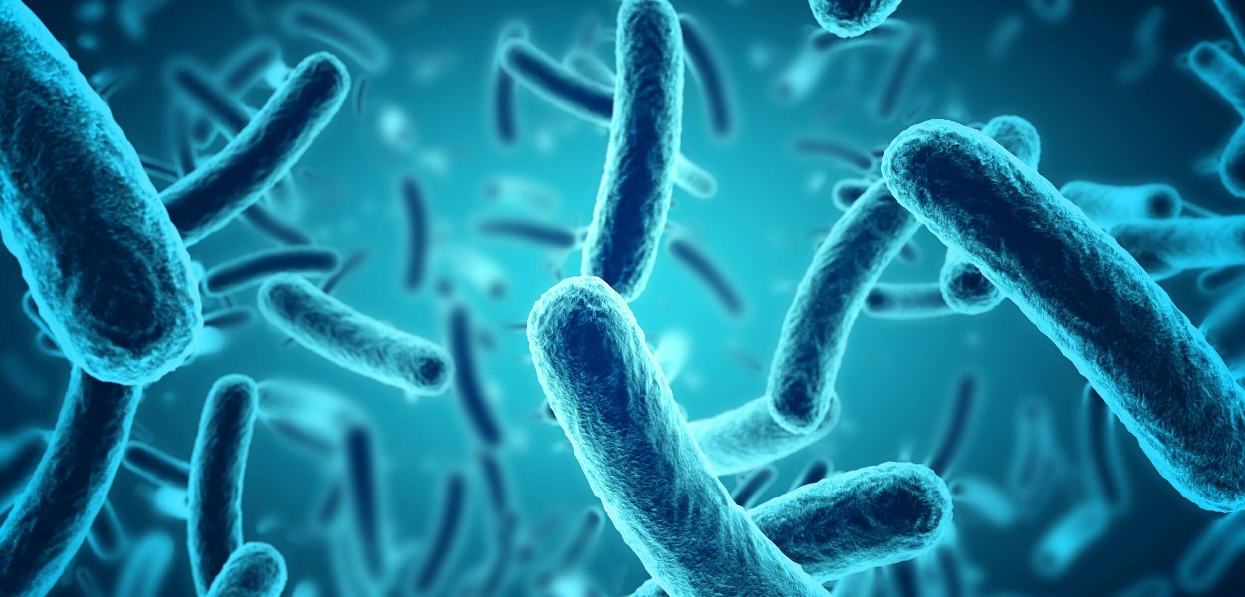¿Qué es La Microbiota? ¿Cómo Afecta a Nuestra Salud?