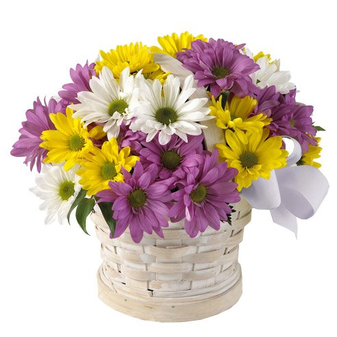 Purple Easter flowers delivery mixed daisy bouquet