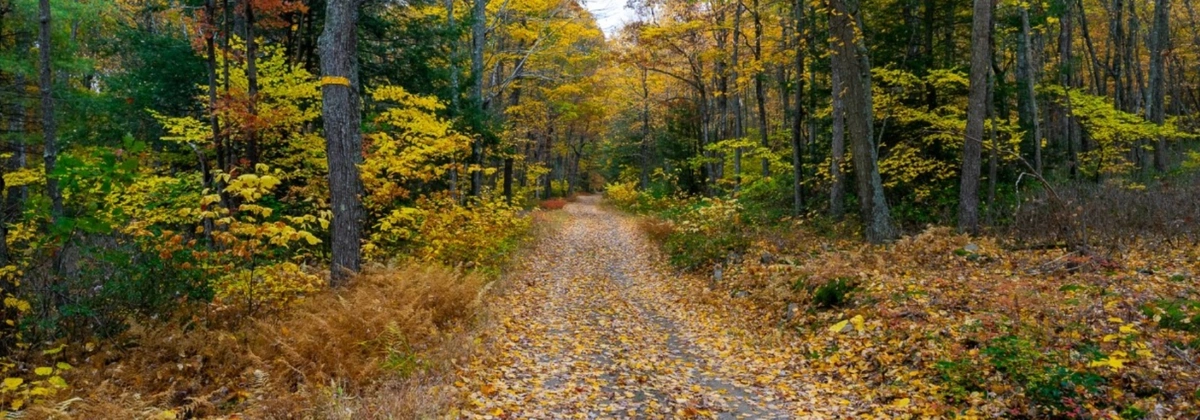 Off-Road Trail in Pennsylvania