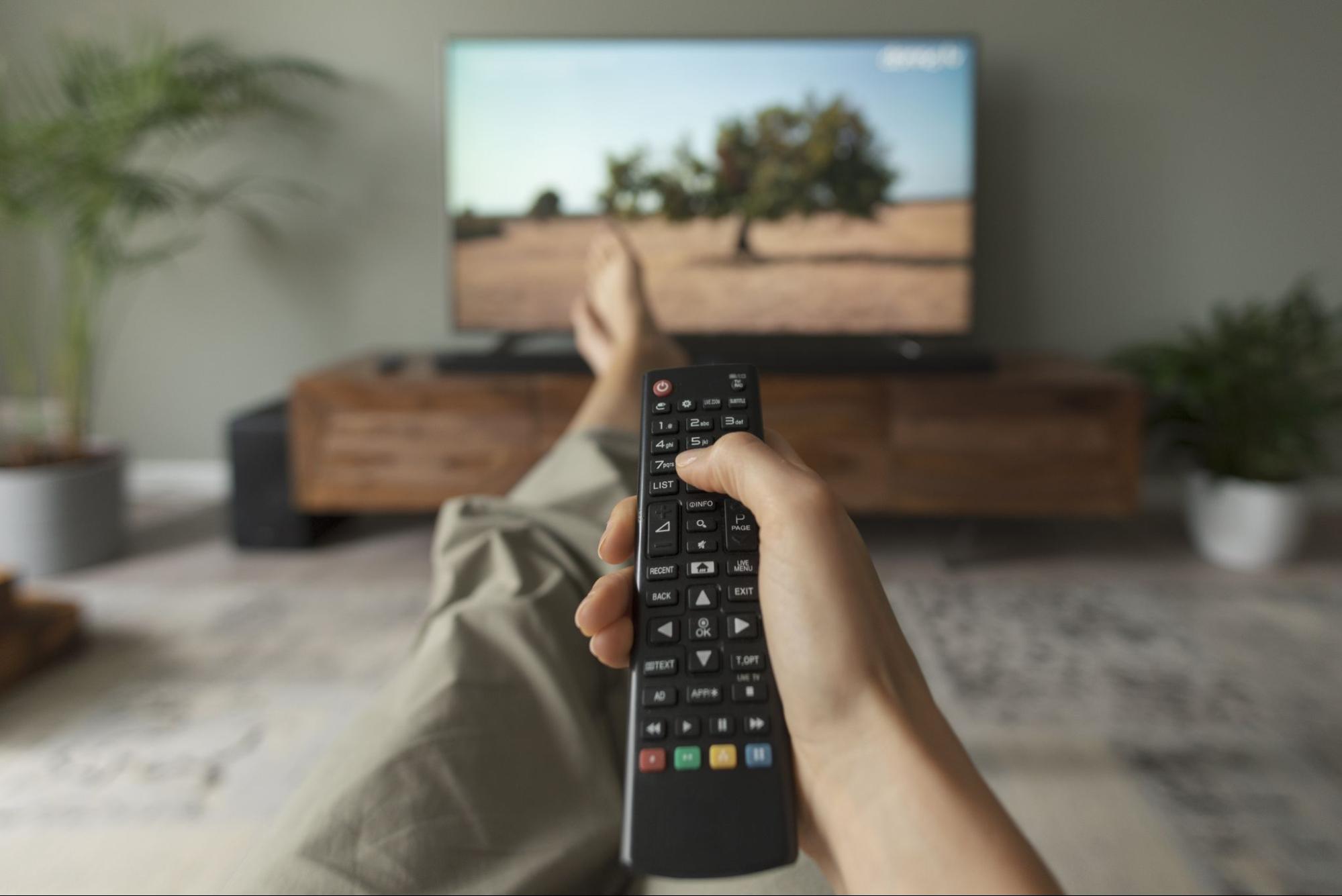 TV Ears: person holding a remote 