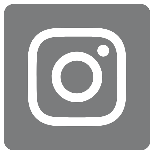 Social Media Instagram Icon