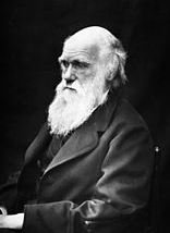 Evolutionstheorie