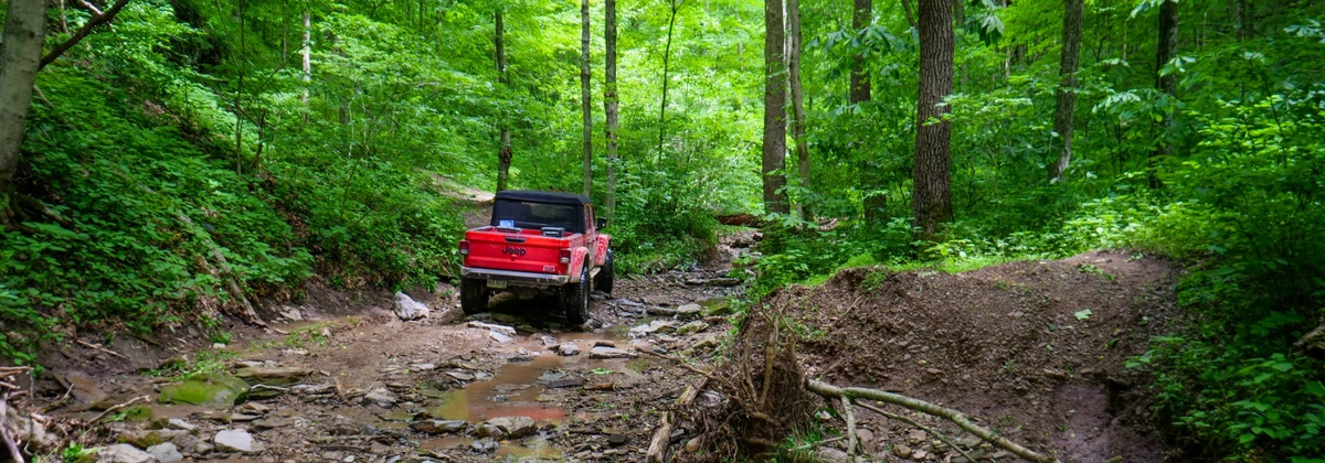 Haught Run Road - T407.webp
