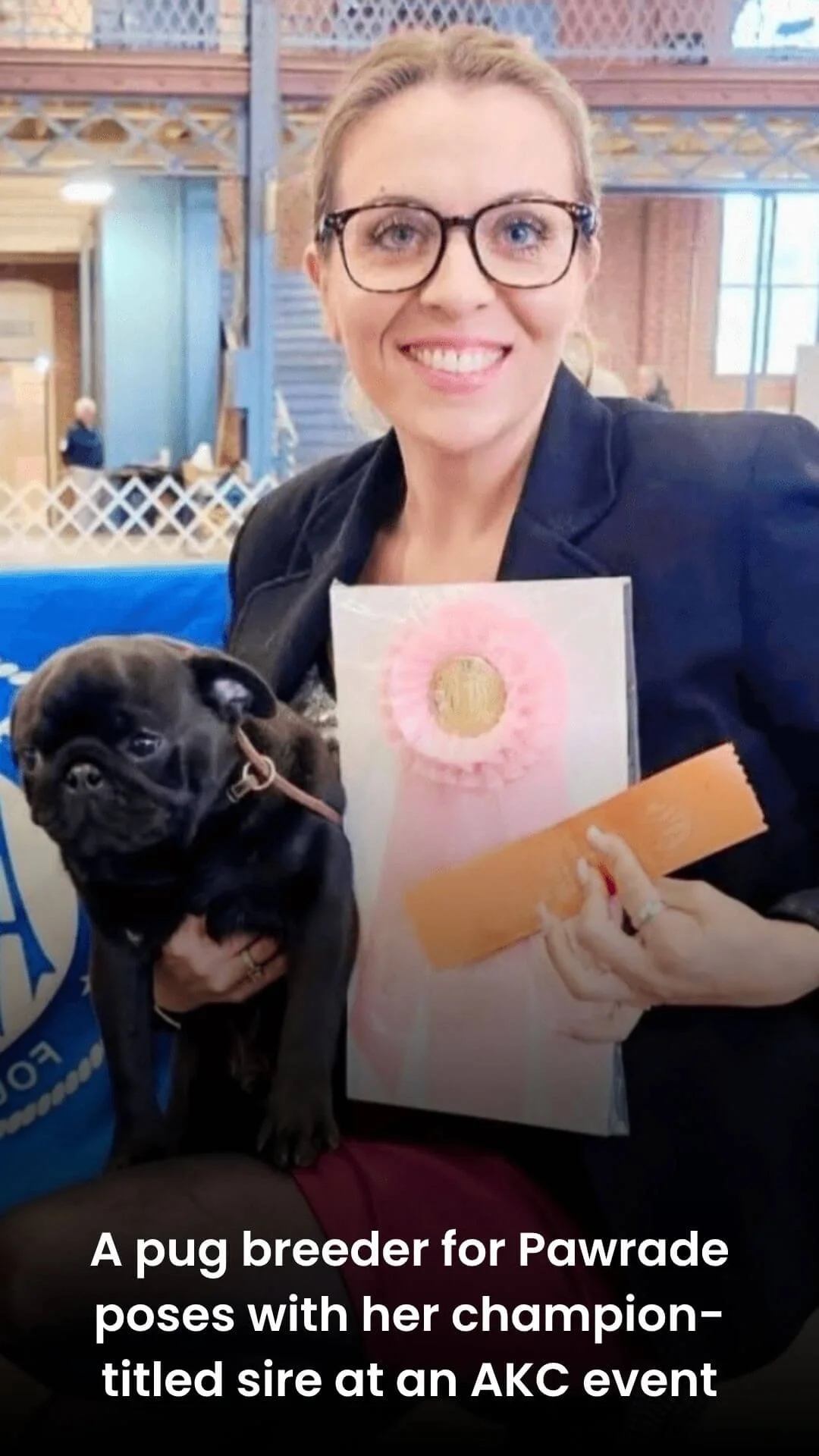 A pug breeder for Pawrade poses with her champion-titled sire at an AKC event