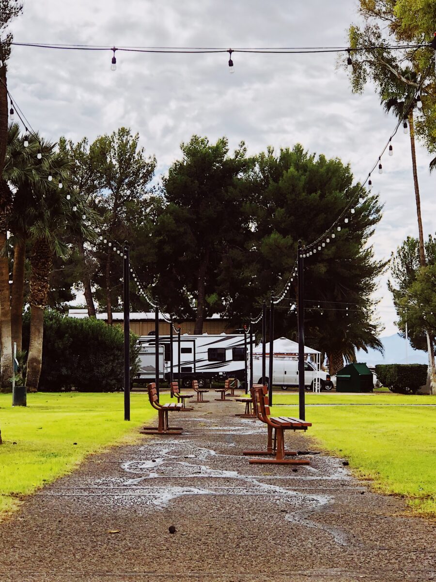 A path with benches and lights